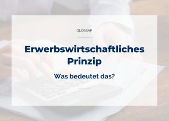Erwerbswirtschaftliches Prinzip