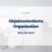 Objektorientierte Organisation