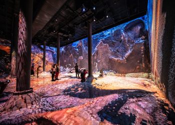 Die Kunst der Verarbeitung: Ein tiefgehender Einblick in die Welt des Filzes