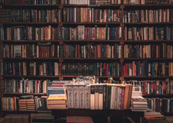 Das Verlagshaus Stopfer: Eine gute Wahl?