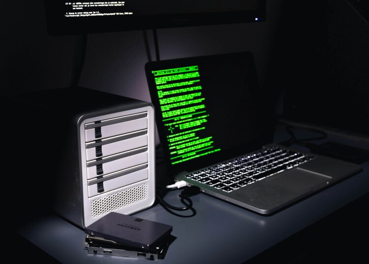 Ransomware verstehen